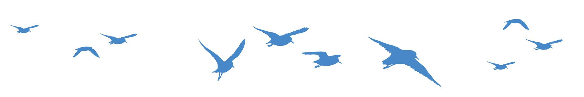 Illustration in blue of silhouette of birds in flight