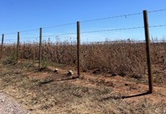 Wire fence standing upright